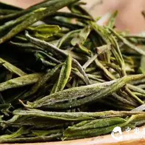 【Tea Exploration】Seeing the "True Face" of Anji White Tea