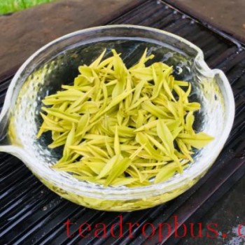 What is the Suitable Water Temperature for Brewing Golden Bud Tea?