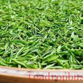 Exploring Maojian Tea: A Renowned Chinese Green Tea – Varieties and Brewing Techniques