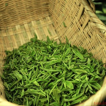 What Type of Tea is Maojian?