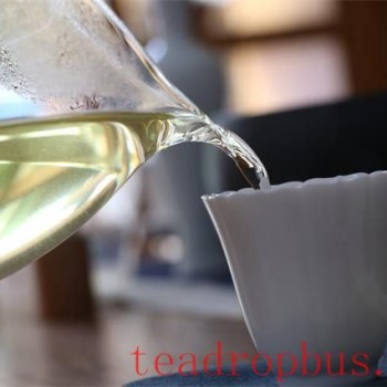 The Charm of Tea — An Irreplaceable Gem of Beverages