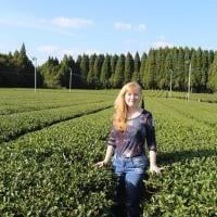 A Day in the Life: Cynthia Fazekas, Adagio Teas