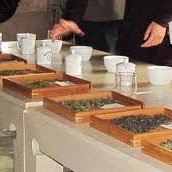 Tea Knowledge: Tea Tasting and Evaluation (Part 4)