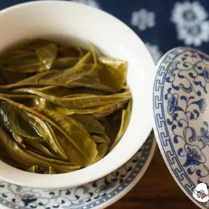 Important Component of Pu-erh Tea: Amino Acids