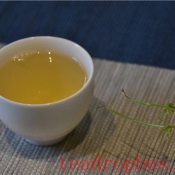 Puer Tea: What-s it Like?