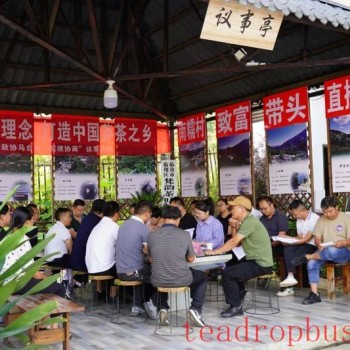 "Practicing the Integrated Tea Concept to Build a Bud Tea Homeland: Deliberative Meeting Boosts Maitai-s Bud Tea Industry"