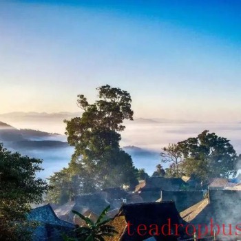 Debut in Beijing and Zhengzhou: A Journey of Aesthetics with the Jingmai Mountain Photography Exhibition and Pu-er Tea Cultural Creative Products