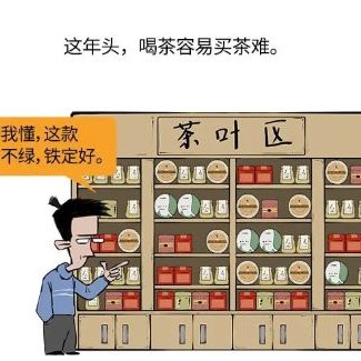 How Can You Buy Tea Without Understanding It? A Beginner-s Guide to Identifying Tea