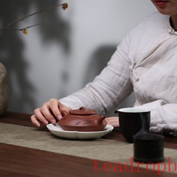 Nurturing a Zisha Teapot Should Not Pursue Speed; Unhealthy Use Can Be Extremely Harmful!