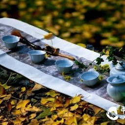 Four Major Benefits of Drinking Fu Tea in Autumn