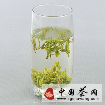 The Taste of Huangshan Maofeng