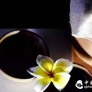 The Secrets of Tieguanyin You Never Knew