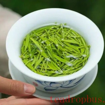 Can Anemic People Drink Green Tea?