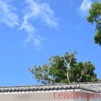 Chieftains- Perspective: An Examination of the Evolution of Ethnic Groups in the Six Great Tea Mountains During the Qing Dynasty