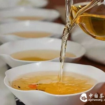 【Tea Study】Which 'Path' Does the 'Water Path' of Pu-erh Tea Refer To?