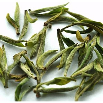 Spring Tea丨Rhyme for Identifying Authentic Xinyang Maojian Tea