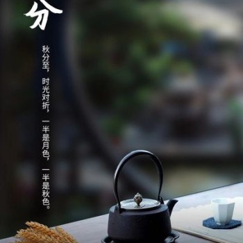 Autumn Equinox: A Guide to Tea Drinking for the Twenty-Four Solar Terms