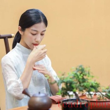Is Tea Evaluation Too Professional? Tea Recognition Methods for Ordinary People