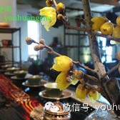 Tea Drinking is Beneficial to Health