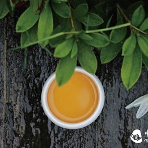 Interpreting Microorganisms in Pu'er Tea