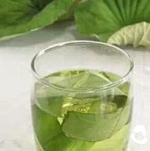 The Way of Tea: The Most Comprehensive Tea Knowledge!