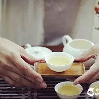 Get to Know These Oolong Teas to Avoid Confusion!