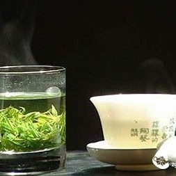 Tea Knowledge: Five Major Nutrients in Tea