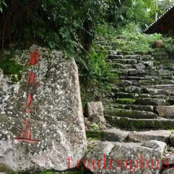 The "Wind" of Cloud Tea: How was the Ancient Tea Horse Road Traversed?
