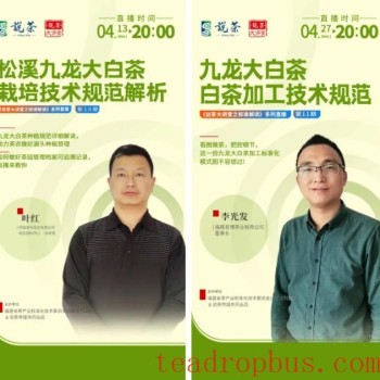 How is the Distinctive JiuLong DaBai Tea Cultivated and Processed?