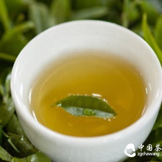 Brief Introduction to Yellow Tea Knowledge