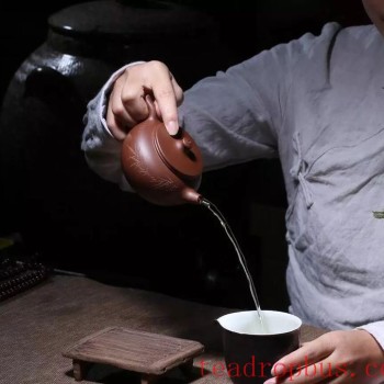 Guide: What Do Purple Clay Teapots Fear Most?
