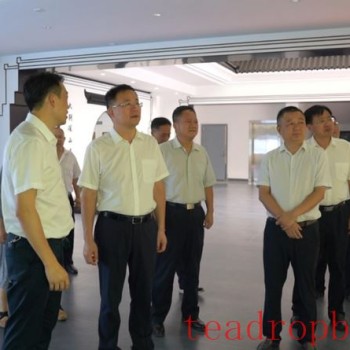 Hubei Provincial Intellectual Property Administration Conducts Research on the Development and Construction of the Tea Industry in Yingshan County