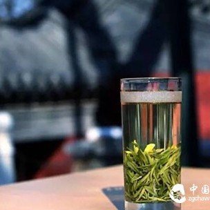 Can Green Tea Be Stored in the Refrigerator?