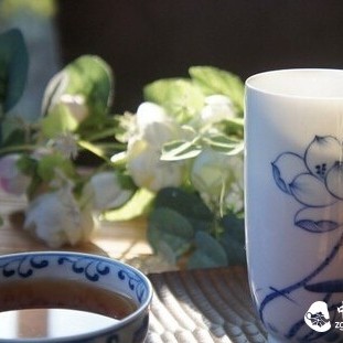 Can White Tea Really Cure Diseases? Did You Know?