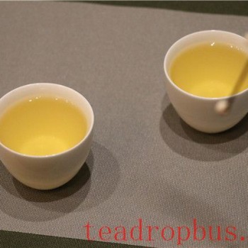 What are the functions and effects of tea polyphenols?