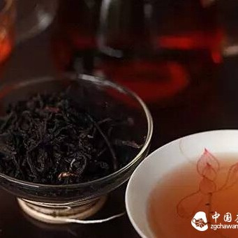 What are the characteristics of dark tea and black tea respectively?