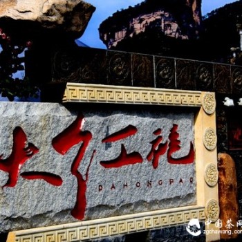 Have You Been Deceived by Da Hong Pao for So Long? The Truth is Here!