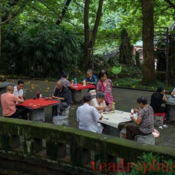 Consumers Say: Why Do We Buy Mid-Age Tea?