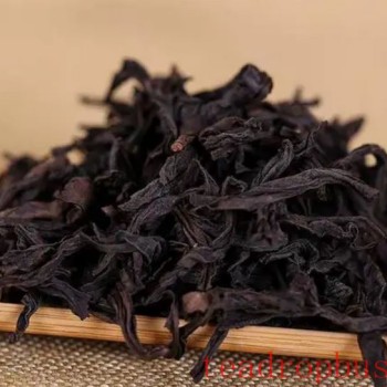 Brewing Method of Dahongpao Tea