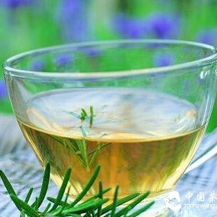How is Zhuyeqing Tea? Do You Know About Zhuyeqing Tea?