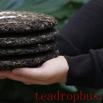 Puer Tea Storage Mistakes – Have You Made Them?