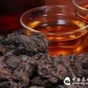What is the “Old Tea Heads” of Pu-erh Tea?