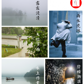 Four Flavors Hermit • Discussing Liubao: Why Does Ancient Liubao Tea Remove Dampness?