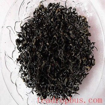 Haiqing Tea