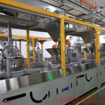 Duyun-s First Fully Automated Tea Production Line Put into Operation