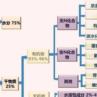 Peel off the outer layer of tea and see what's inside