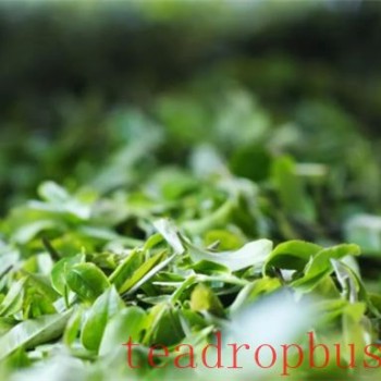 How to Distinguish the Authenticity and Quality of Pu-er Tea
