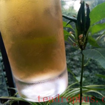Great Heat Tea Drinking: Points to Note