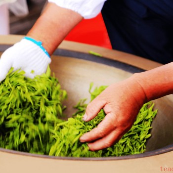 How to Pan-Fry Tea Leaves? [Step-by-Step Guide to Making Tea from Harvest to Finished Product]