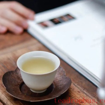 This Misconception Causes Many to Miss Out on High-Potential Tea! The Tea Expert-s Selection Secrets
